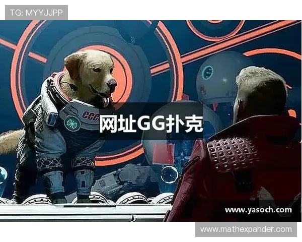 选择gg扑克旗舰网站享受高清流畅的游戏画面和便捷的操作体验